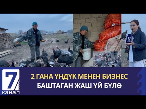 Видео: 100ГӨ ЖАКЫН ҮНДҮКТҮ ЭТ БАГЫТЫНДА САТЫП, КИРЕШЕ ТАПКАН ҮЙ БҮЛӨ