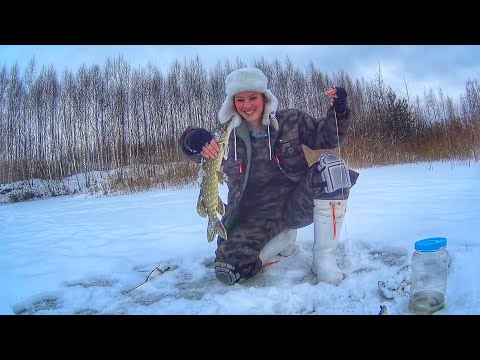 Видео: ВОТ ЭТО РЕЗУЛЬТАТ. Рыбалка на ЖЕРЛИЦЫ - САМОЛОВКИ. Этот МОНТАЖ работает. Russian fishing