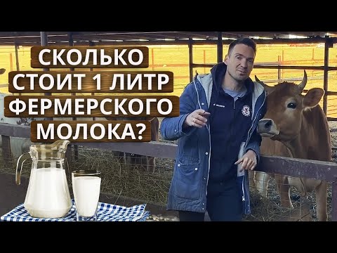 Видео: Высокая ли цена на молоко? | Сколько стоит молоко на ферме?