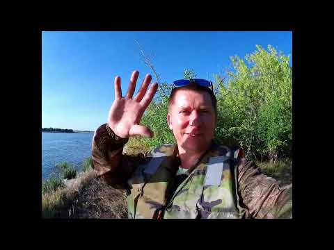 Видео: РЫБАЛКА НА ДОНУ В ВОЛГОГРАДСКОЙ ОБЛАСТИ. ЛОВЛЯ САЗАНА И КАРАСЯ. ВЫЛОВИЛИ ДОНСКОГО МОНСТРА!!!