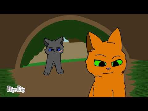 Видео: Дикие коты. "Наказание". Часть 5.