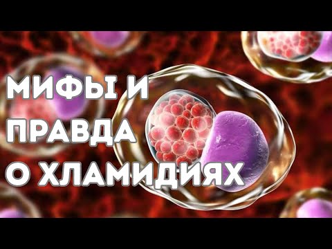 Видео: Мыфы и правда о хламидиях #хламидийнаяинфекция #хламидиоз #инфекции #doctorberezovska
