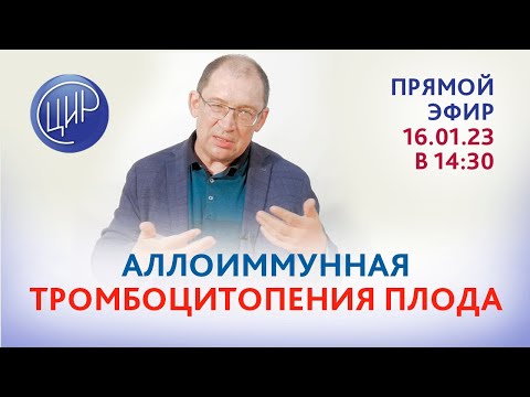 Видео: Аллоиммунная тромбоцитопения плода. Система HPA. Группы крови тромбоцитов. Эфир с И.И. Гузовым.