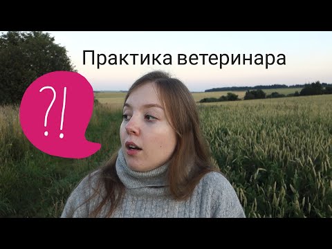 Видео: ПРАКТИКА ВЕТЕРИНАРА | УЧЕБА В ТИМИРЯЗЕВКЕ