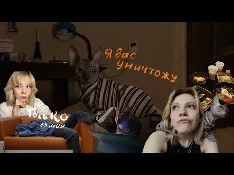 Видео: mini vlog: 14 часть/ няня кота на 3 дня