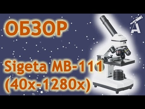 Видео: Обзор микроскопа Sigeta MB-111 (40x-1280x)