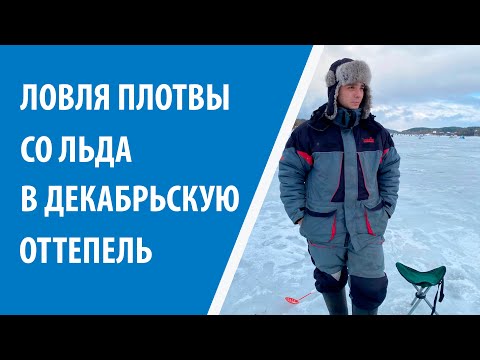 Видео: ОХОТА ЗА ПЛОТВОЙ НА ДУБРОВСКОМ ВОДОХРАНИЛИЩЕ!