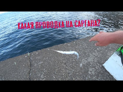 Видео: Рыбалка в Алуште с волнореза (бун) на самодур и спиннинг