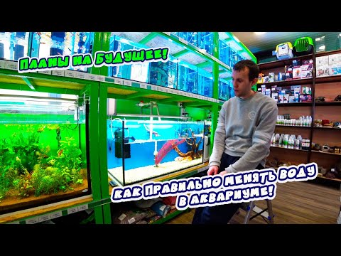 Видео: Как делать подмену воды в аквариуме, чтобы не погибла рыба