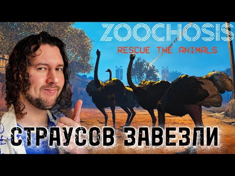 Видео: СТРАУСЫ В БЕЗОПАСНОСТИ | Zoochosis | ОБНОВЛЕНИЕ | ПРОХОЖДЕНИЕ НА РУССКОМ