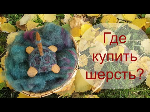 Видео: Где купить шерсть? Северо-кавказская мясошерстная. Чабанские будни