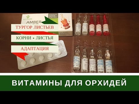 Видео: Витамины Для Орхидей + Витаминные Коктейли