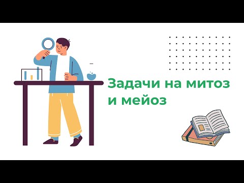 Видео: Задачи на митоз и мейоз. Часть 1.