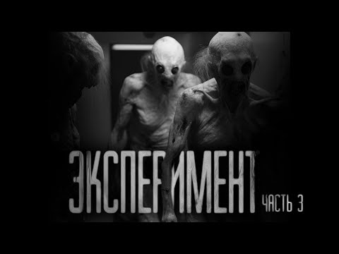 Видео: ЭКСПЕРИМЕНТ ВЫШЕЛ ИЗ-ПОД КОНТРОЛЯ.  Часть 3. Страшные истории на ночь.Страшилки на ночь.