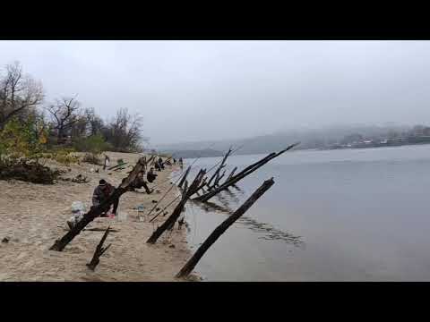 Видео: РЫБАЛКА ЗАПОРОЖЬЕ БЕШЕНЫЙ КЛЁВ РЫБЫ 