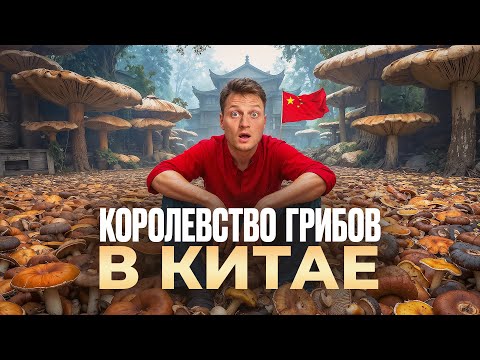 Видео: Жизнь и психоделика лесных китайцев в Юньнани