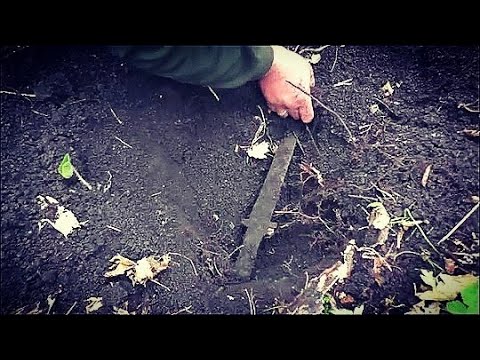 Видео: Подняли киммерийский древний меч! В шоке от такой находки!