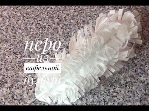 Видео: Перо из вафельной бумаги./Waffle paper feather