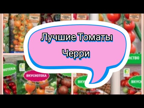 Видео: Лучшие Томаты Черри к сезону 2026.По привлекательной цене.