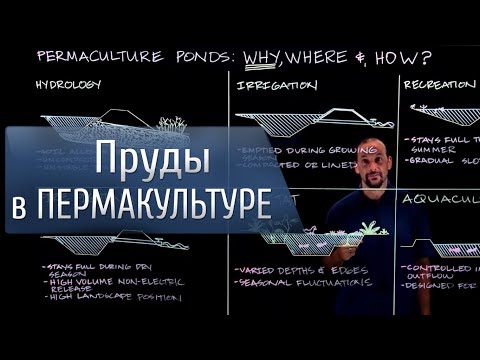 Видео: Пруды в ПЕРМАКУЛЬТУРЕ!