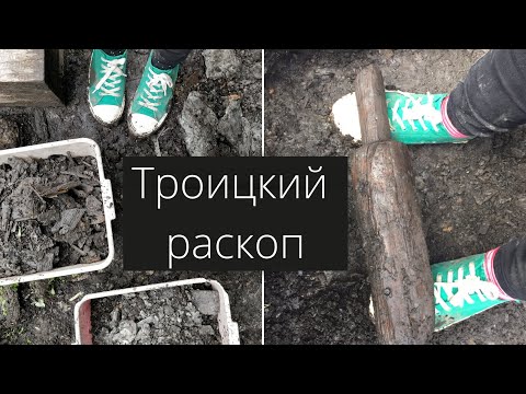 Видео: ДНЕВНИК АРХЕОЛОГА | Рабочий день на раскопе в  Новгороде | ГОЛОД и АНТИСАНИТАРИЯ на раскопе