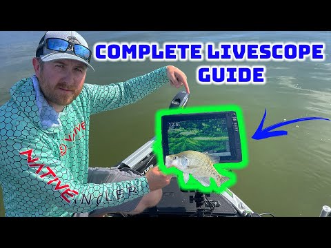 Видео: Как использовать LIVESCOPE | ПОЛНОЕ руководство! |