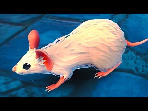 Видео: Симулятор Мыши Хранителя #1 Начало The Spirit and the Mouse на пурумчата