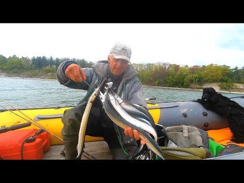 Видео: САРГАН ПОШЕЛ!!! ДА ТУТ ЕГО!!!  ТОЛЬКО ЗАБРАСЫВАЙ! Рыбалка в Балтийском море.