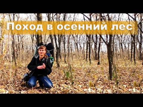 Видео: ⛺ Одиночный поход в лес | Грибной суп | Ночные приключения