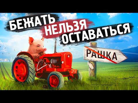 Видео: Стоит ли уезжать из страны