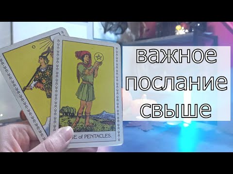 Видео: 🔮✨ КАК ПОДТОЛКНУТЬ ЕГО К ДЕЙСТВИЮ? Лучшая стратегия для Вас от таро 🔮✨