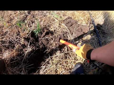 Видео: Друг сердечный!....  АКА MFD...Реальный коп..