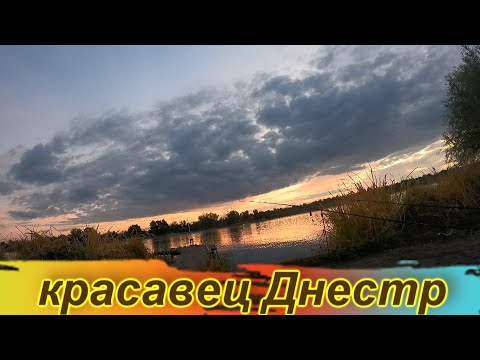 Видео: Рыбалка 17- 18 октября / флет опять рулит / Маяки / Днестр