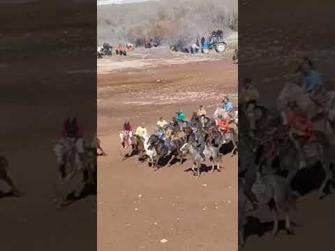 Видео: Бузкаши дар нохияи Точикобод. кисми. 1.