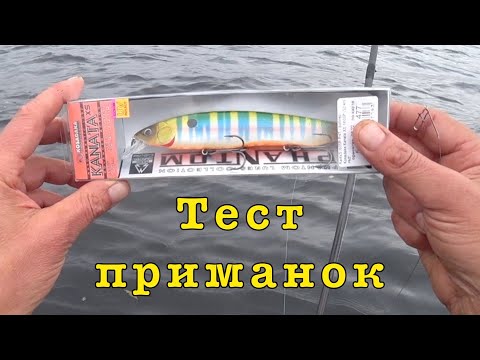 Видео: Тест недорогих воблеров.  Ловим щуку.