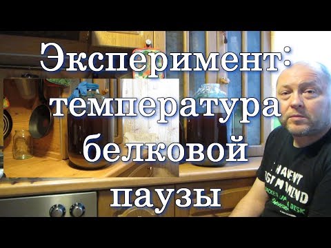 Видео: Эксперимент: температура белковой паузы