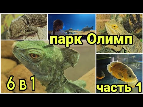 Видео: #12 парк Олимп 2024// Геленджик// Кабардинка