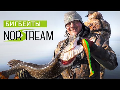 Видео: На что ловить КРУПНУЮ щуку? Бигбейты NORSTREAM