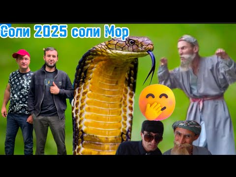 Видео: Соли 2025 соли Мор будаст Дустмурод Бобои Мерган Ва Ҳасан Чила Мугамбо аз ХАЗИНА 2019с
