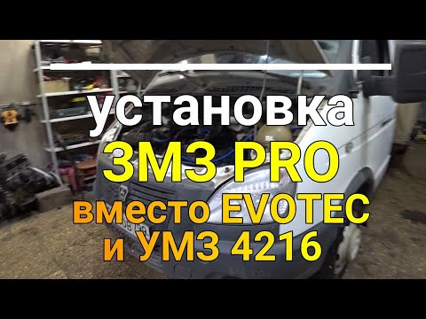 Видео: Замена EVOTEC и УМЗ 4216 на ЗМЗ 409ПРО/Новые сердца для двух рабочих лошадок Next  и Газель Бизнес