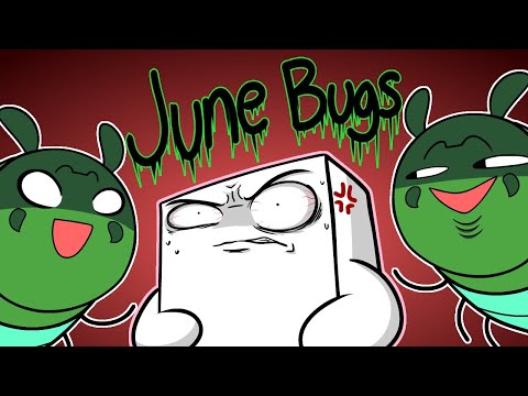 Видео: Единственное насекомое, которое мне очень не нравится