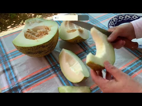 Видео: ҚОВУН ПИШДИ ВА МАЗАСИ КЎРИЛДИ 😂😊👍🏻🤔ЎТИНЛАР ТАХЛАНДИ 🤔😊