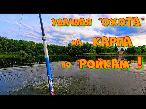 Видео: Ловля БОЛЬШИХ КАРПОВ на ЖМУРКУ ! Рыбалка на УДОЧКУ с БОКОВЫМ КИВКОМ .