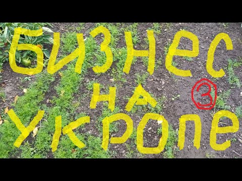 Видео: Бизнес на Укропе - 3