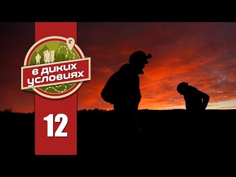 Видео: В диких условиях #12 [Лаго-Наки]