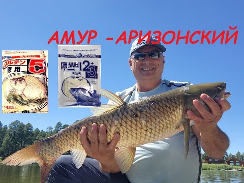 Видео: ХЕРАБУНА -  АМУР