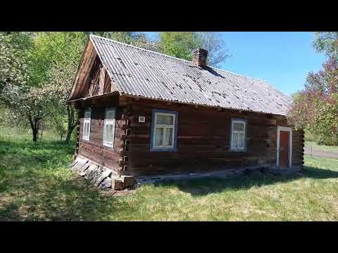Видео: ДОМ В ЛЕСУ. РЯДОМ С ОЗЕРОМ.