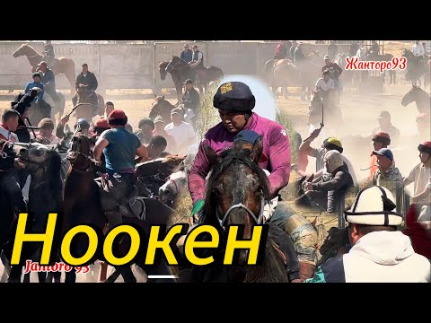 Видео: Бугун Ноокендеги Улак. Жанторо93 #kyrgyzstan #horse