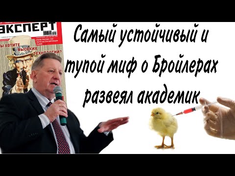 Видео: Самый Тупой и устойчивый миф о Бройлерах развеял Академик