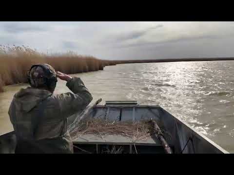 Видео: Аэролодка Нерпа видеоотзыв покупателя из Новосибирской области